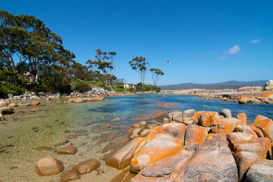 bay of fires-6
